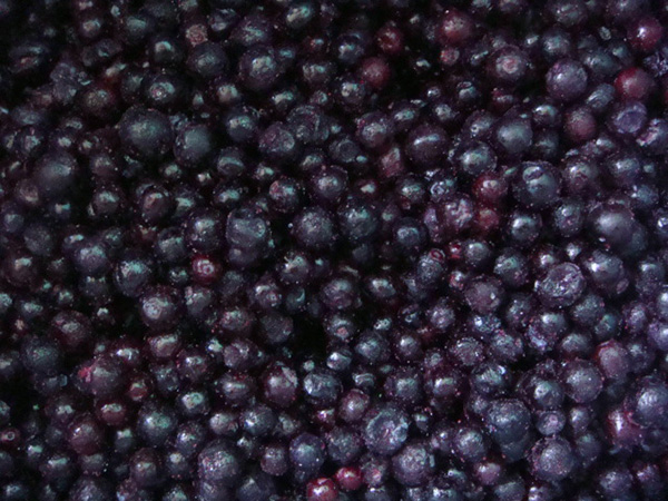 速凍野生藍莓-(2)