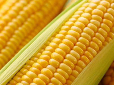 玉米的七大好處